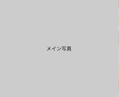 2016.05【カラフル！チョップドサラダ】